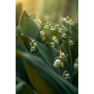 Flower Print Canvas